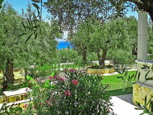 Pouliezos Koklanis Zante Apartments