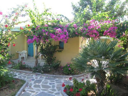 Hotel Surfing Beach Village Paros