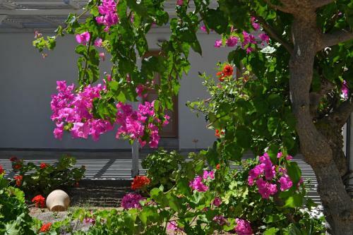 Hotel Surfing Beach Village Paros