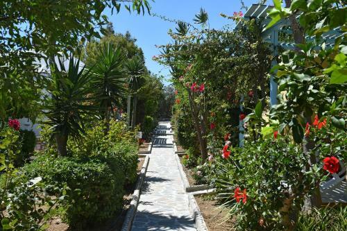 Hotel Surfing Beach Village Paros
