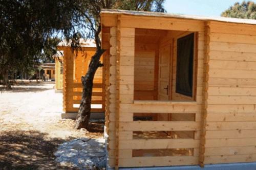 Albergue Surfing Beach Huts