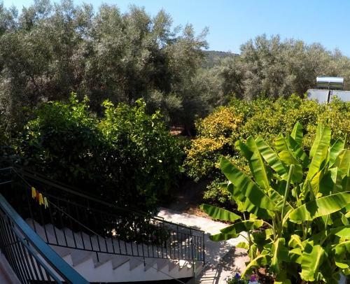 Apartamento Zacharogianni Studios
