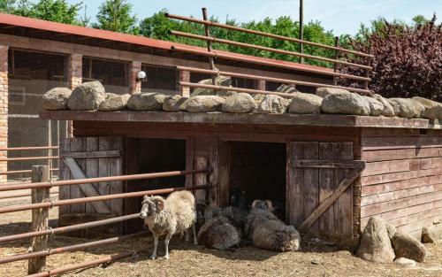 Agroturismo Podkowa