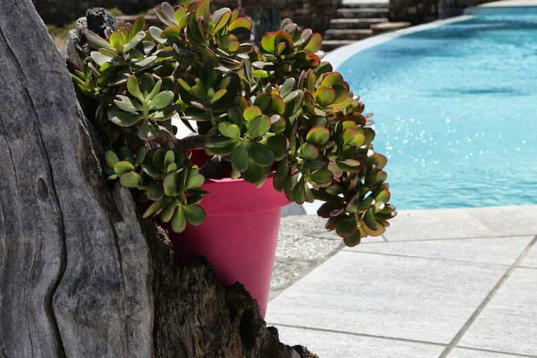 Apartamento Niriides Luxury Homes