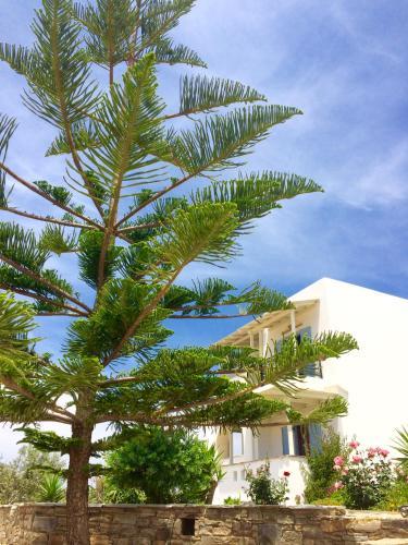 Apartamento Mare Monte Studios