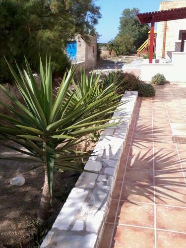 Apartamento Acti Plaka Hotel