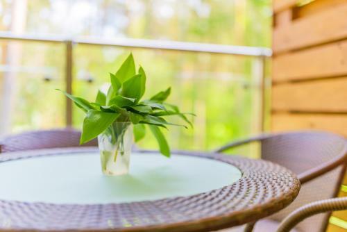 Apartamenty Ncnk Baltic Park Premium W Stegnie