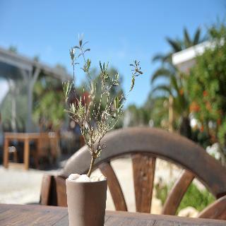 Apartamento Medusa Resort & Suites