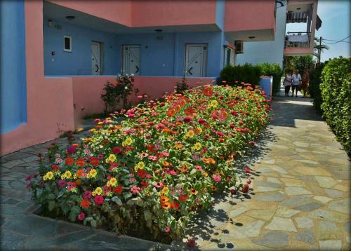 Apartamentos Chrissi Ammoudia