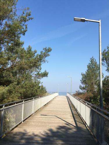 Rewita Rogowo K Ko?obrzegu