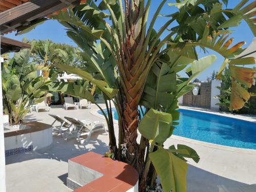 Villa 15, Very Cozy On Oura Beach, Albufeira