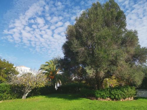 Apartamento Algarent Quinta Velha Jolie 11
