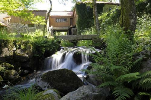 Alojamento Local - Apartamentos - Celorico De Basto Bc