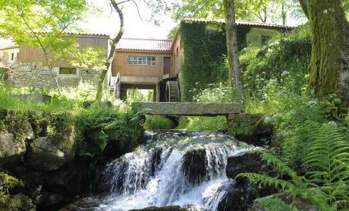 Alojamento Local - Apartamentos - Celorico De Basto Bc