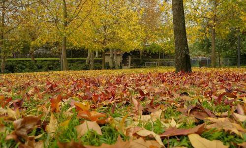 Alojamento Local - Apartamentos - Celorico De Basto Bc