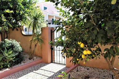 Villa Casa Carinha