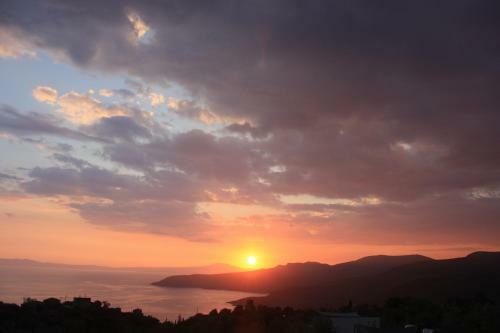 The Olive Grove Boutique Villas