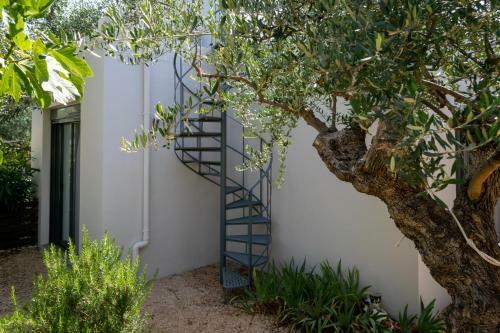The Olive Grove Boutique Villas