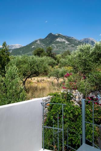 The Olive Grove Boutique Villas