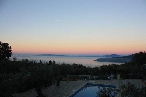 The Olive Grove Boutique Villas