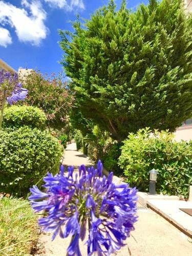 Apartamento Clube Praia Mar