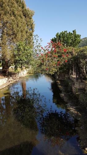 Apartamento Castello Bellos 1