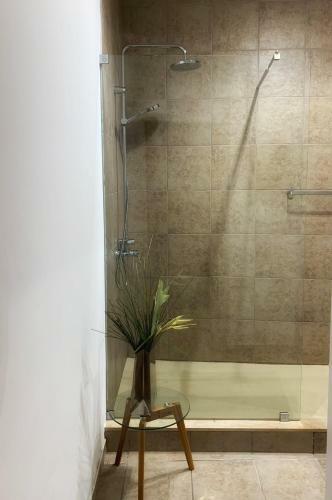 Apartamento Bairro Das Flores