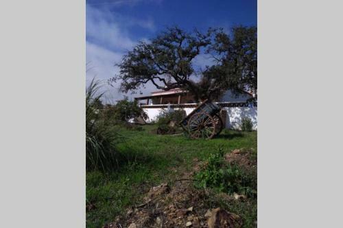 Aproveite O Sabor Do Alentejo