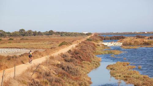 Villa In Quinta Do Lago Sleeps 12