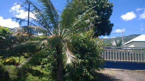 Les Bungalows Du Mont-auban