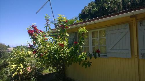 Les Bungalows Du Mont-auban