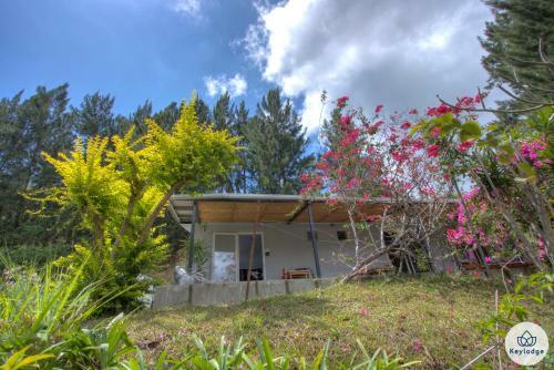 Bed & Breakfast Les Sereins - D�connectez Et Ressourcez-vous Chez Nous