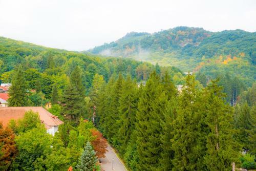 Hotel Olanesti & Spa Medical