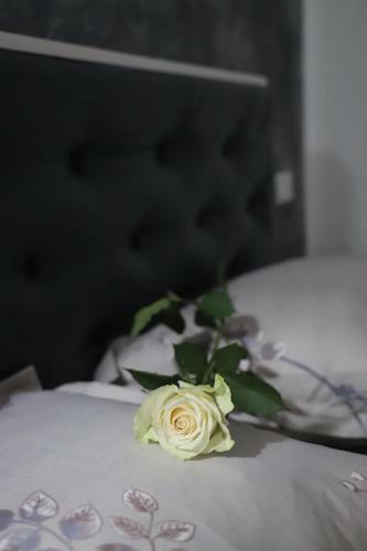 Hotel Cazare Moldi Btt