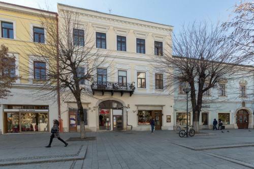 Cluj Lux Apartment Unirii