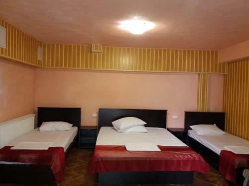 Hotel Pensiunea Donald