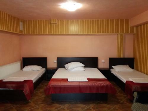 Hotel Pensiunea Donald