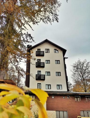Hostal Dor De Munte Straja