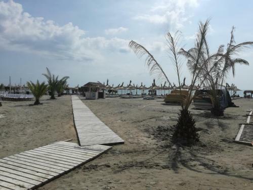 Apartment Mamaia Nord