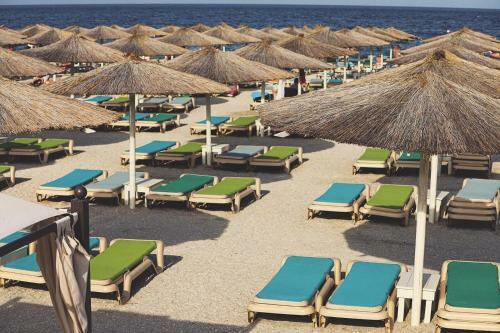 Apartament Sunny Beach Alezzi