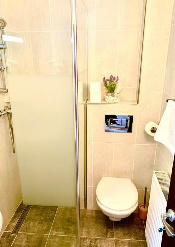 Hostal Vila Anelisse