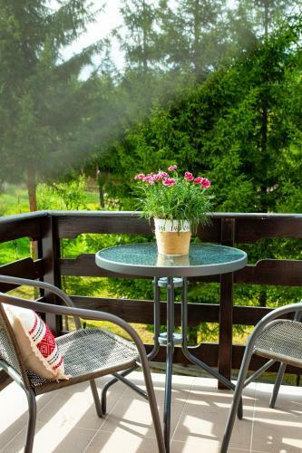 Hotel Floare De Colt