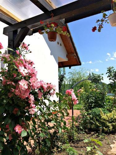 Hostal Casa Salcia Oituz