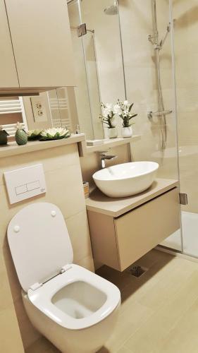 Lovely 2 Bedroom Central Apartment