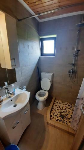 Hostal Casa De Vacanta Two Brothers Concept