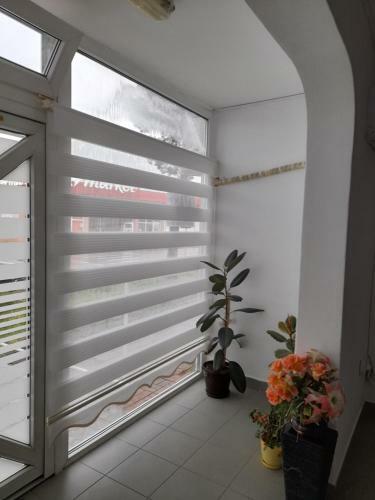 Apartament 1 Decembrie 1918