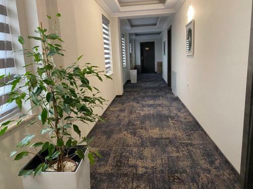 Hotel Yarus Plus