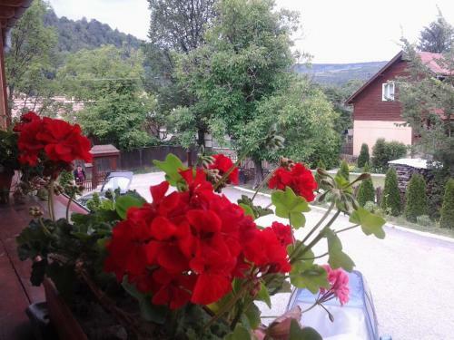 Hostal Pensiunea Medveh�z