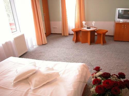 Hostal Complex Panoramic Predeal