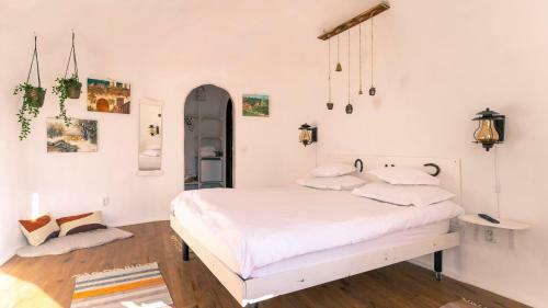 Hostal Pensiunea Dealul Verde